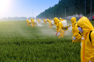 Pesticides and Your Health